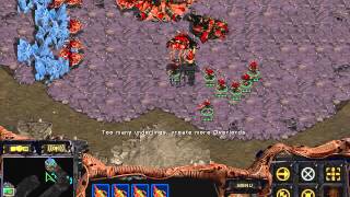 StarCraft Brood War Zerg vs Protoss in Python 13 [upl. by Posehn]