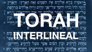 TORAH INTERLINEAL Hebreo  Español  PDF a Libre Descarga [upl. by Odranreb394]