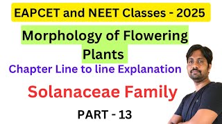 Solanaceae Family  Morphology of Flowering Plants Chapter Line by line Explanation  Part 13 [upl. by Toy710]