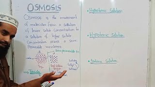 osmosis in Urdu Hindi class 9 biology  chapter No 4  Lecture No 21 [upl. by Teryl898]