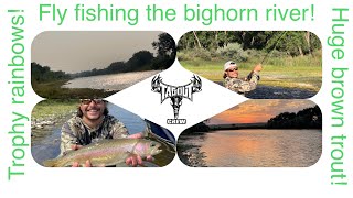 Fly fishing the Bighorn river part 2 [upl. by Cerf926]