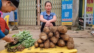 Harvest yams amp Vegetables to sell at the highland market Farm Life  Agriculture  Trieu Mai Huong [upl. by Thier]