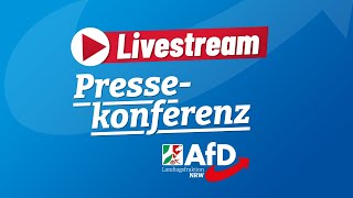 Pressekonferenz AfDInitiativen im Plenum [upl. by Eniala]