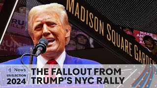 US election Has Trump alienated swing voters after Madison Square Garden rally [upl. by Yeliak662]