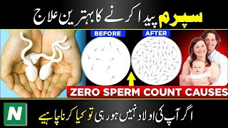 How to increase sperm count and quality  Low sperm count causes  Sperm count treatment [upl. by Lehcyar635]