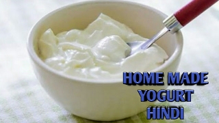 How to make yogurt in hindi [upl. by Liuka]