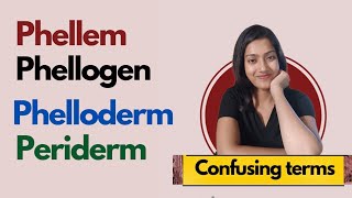 Difference between Phellem  Phellogen  Phelloderm  Periderm  Confusing terms  Suman Yadav [upl. by Itsym]