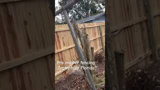 fencingcontractor floridafencing diy shortvideo shorts zephyrhills [upl. by Zetrauq]