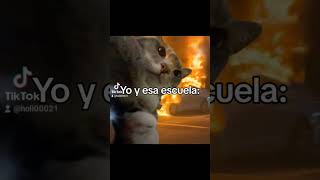 Mi tiktokHoli00021 humor memes graciasporelapoyo shorts lentejas [upl. by Tallbot274]