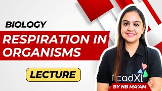 Respiration in Organism  L7  Biology pyq nse lecture [upl. by Iralam952]