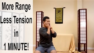 Neck Stiffness amp Neck Tension GONE in 1 MINUTE  Feldenkrais Style [upl. by Jabez97]