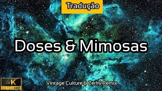 Doses amp Mimosas  TRADUÇÃO Vintage Culture amp Zerky Remix  2021  4K [upl. by Ainavi]