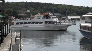 pink lady 2 capn fishs whale watch boothbay harbor maine [upl. by Seko]