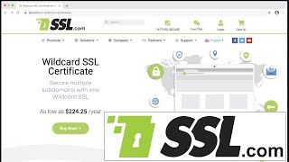 Wildcard SSL Certificates [upl. by Yboj]