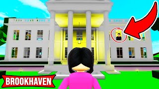 Roblox Brookhaven 🏡RP NEW SECRETS UPDATE [upl. by Delanty]