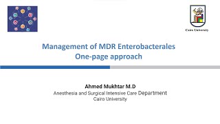 MDR Enterobacterales [upl. by Lundberg]