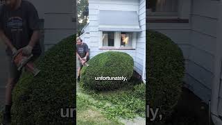 The GRUMPY Neighbor satisfying landscape gardening shorts [upl. by Puglia502]