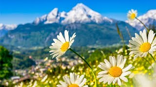 Switzerland AMAZING Beautiful Nature with Soothing Relaxing Music 4k Ultra HD by Tim Janis [upl. by Vardon]