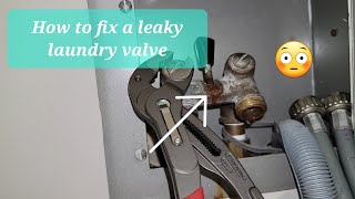 First Experience Replacing Washing Machine Valves [upl. by Nevag510]