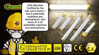 ATEX Explosion Proof LED Light Fixture [upl. by Missi]