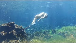 BEGIN AQUATIC A freediving meditation featuring Alicia Neylon [upl. by Sunshine920]