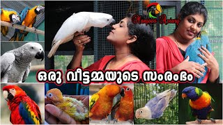 പക്ഷി വളർത്തലിലൂടെ വീട്ടിലിരുന്നു വിജയം കൈവരിച്ച ഒരു സംരംഭക  Manjoos Aviary Exotic Birds Farm [upl. by Marx894]