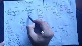 NeurophysiologyGuyton Chapter 48 Classification of Somatic senses its detection and transmission [upl. by Rieth]