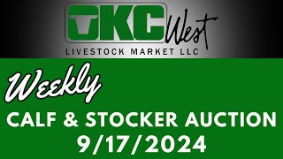 9172024  Calf amp Stocker Auction  OKC West [upl. by Reinald]