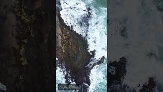 Aerial View of Pasaywan Beach in Bagac Bataan beautiful byahenidew relaxingvideo shorts travel [upl. by Eelannej]