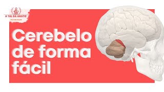 Anatomia do CEREBELO e SÍNDROMES CEREBELARES [upl. by Ayirp]