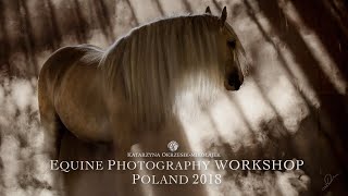 Equine Photography Workshop in Poland 2018 [upl. by Drummond]