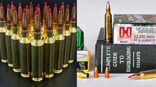 22 Creedmoor vs 22250 Remington [upl. by Downs]