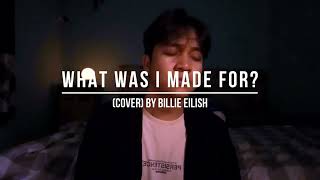 What Was I Made For cover By Billie Eilish [upl. by Knick80]