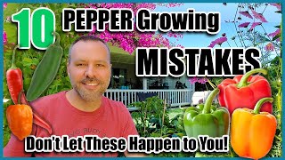 Pepper Growing Mistakes  How to Avoid or Fix ThemHow to Grow Peppers [upl. by Hake]