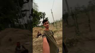 Cricket Ball Dragon Fruit minivlog aftabvlog shorts agriculture farming [upl. by Anirbaz]