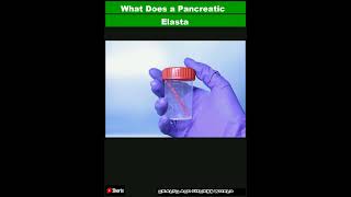 What Does a Pancreatic Elastase Test Measure and What Do the Results MeanShorts [upl. by Linad]