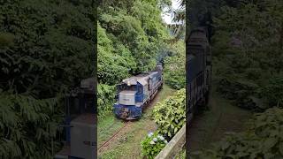 Trem de passageiros Litorina saindo do Túnel passeio Curitiba Morretes trem train morretes [upl. by Ainez249]