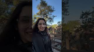 Paseando en Disneyland Paris ❤️  en TikTokIG pilisuagi vlog quecomoenundia argentina disney [upl. by Etnovahs330]