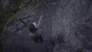 Dinosaur Bone 18 Red Dead Redemption  Cumberland Forest Bacchus Station Bone Location [upl. by Suoirtemed242]