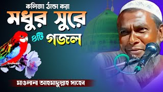 কলিজা ঠান্ডা করা গজল┇মধুর সুরে ৪টি বাংলা গজল┇Islamic Bangla Gojol┇Ahmadullah [upl. by Dido]