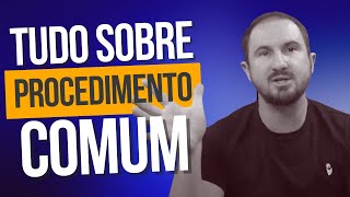 TUDO sobre o Procedimento Comum  Esquema  Legislação [upl. by Enenaj]