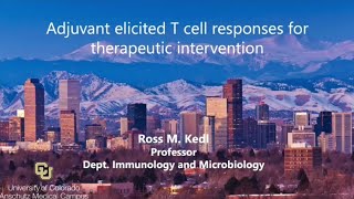 Adjuvant Elicited T Cell Responses for Therapeutic Intervention [upl. by Notsreik]