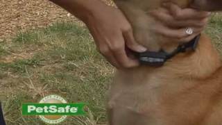 PetSafe Big Dog Bark Control Collar [upl. by Nlycaj]