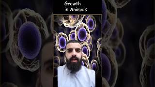 GCSE Science in a minute  Growth in animals biology gcse science school stem [upl. by Elahcim]