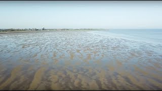 De toekomst van de Waddenzee zeespiegelstijging bodemdaling en sedimentatie in de Waddenzee [upl. by Gahl]