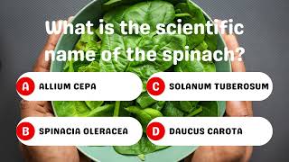 Scientific Name of Spinach 🍃 [upl. by Bez772]