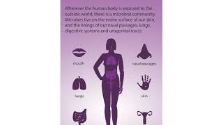 Commensal amp Pathogenic Microbial Flora in Humans 1 [upl. by Conrad823]