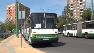 Szeged Bus amp Trolleybus 1080p [upl. by Weihs]