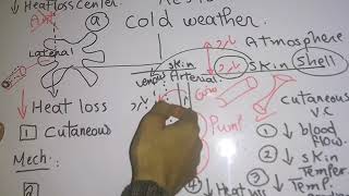 Thermoregulatory response to Cold weather dr mohamed fayez [upl. by Davy]