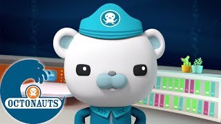 Octonauts  Une Étrange Créature Des Profondeurs Marines  Aventures Sous Les Mers [upl. by Auqinimod]